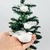 Pássaro Branco Com Presilha 5x9x3cm Para Árvore De Natal 3pc - loja online