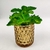 Planta Suculenta Artificial Permanente Alface 10x12cm - loja online