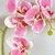 Orquídea Rosa 3D 68x13cm Planta Artificial Toque Real - Inigual Decor