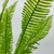 Imagem do Samambaia Haste Planta Artificial Permanente 80x30cm Fina
