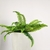 Samambaia Folhagem Planta Artificial 50cm Decorativo - comprar online