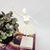 Imagem do Caixa Livro Decorativa Ballet Rosas 30x24x5cm G