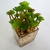 Suculenta Com Vaso Florzinha 18x13cm Planta Artificial na internet