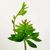 Suculenta Com Broto 19x15cm Planta Artificial Permanente - comprar online