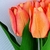 Tulipa Laranja Ramalhete 43x20cm Planta Artificial - comprar online