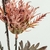 Azevinho Do Mar Vermelho 68x14x8cm Flor Planta Artificial - Inigual Decor