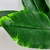 Imagem do Folhagem Bananeira Buque Planta Artificial Permanente 77cm