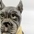 Potiche Pet Pote Decorativo Cachorro Bulldog 17x12cm Decor - Inigual Decor