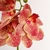 Orquídea Vermelha 3D 47x12x10cm Planta Artificial Toque Real na internet