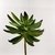Suculenta Verde Planta Artificial Permanente 32x16cm G na internet