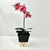 Arranjo De Orquídea Vermelha Vaso Preto 50cm Inigual - comprar online
