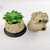 Potiche Pet Pote Decorativo Cachorro West Highland 16x12cm - loja online