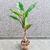 Árvore Colocasia Esculenta 160x63x50cm Planta Artificial - comprar online