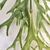 Chifre De Veado Pendente Planta Artificial 106x18cm - Inigual Decor