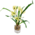 Orquídea Branca Planta Artificial 31x20x17cm Com Vaso