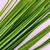Capim Verde Folhagem Silicone 47x15cm Planta Artificial - loja online