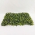 Placa Grama Verde 4x60x40cm Planta Artificial Permanente na internet