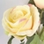 Rosa Creme Planta Artificial 75x14cm Haste Com 3 Flores - Inigual Decor