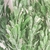 Buquê De Folhas Verdes De Oliveira 37x25cm Planta Artificial - Inigual Decor