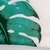 Capa Para Almofada Costela de Adão Decorativa 45x45cm Verde na internet