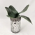 Imagem do Folha De Orquídea Com Raiz 30x10cm Planta Artificial