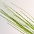 Capim Verde Com 1 Pluma 60x7cm Folhagem Planta Artificial na internet