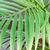 Árvore Palmeira Artificial 130x100x60cm Planta Permanente na internet