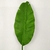 Folha de Bananeira Planta Artificial Permanente 96x23cm T Real na internet