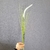 Imagem do Capim Verde Com Pluma Branca 60cm Planta Artificial Kit 5pç