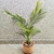 Árvore Palmeira Artificial 130x100x60cm Planta Permanente - comprar online