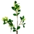 Flor Branca Ligustrum Sinense 73x21cm Planta Artificial