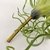 Suculenta Tislandia Verde Planta Artificial Permanente 35cm - loja online