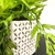 Kit Decoração 2 Vasos + Plantas Artificiais + Caixa Livro - loja online