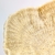 Concha Branca Enfeite Centro De Mesa 9x17x15cm Decoração - Inigual Decor