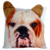 Almofada Pet Cachorro Bulldog Branco Bege 40x40cm Decoração