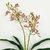 Orquídea Roxa Trichoglottis 45x39cm Planta Artificial - comprar online