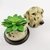 Potiche Pet Pote Decorativo Cachorro Dalmata 17x12cm Decor - Inigual Decor