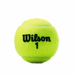 Bolas de Tênis Wilson Championship Extra Duty - Tubo com 3 unidades na internet