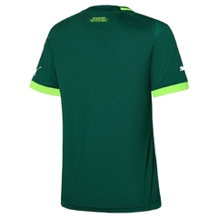 Camisa Feminina Palmeiras 2023 Uniforme 1 Verde Puma - comprar online