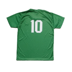 Camisa Infantil Palmeiras Tricamp3ão Da América Libertadores - comprar online