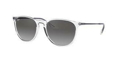 Ray Ban Erika RB4171 - 651611 - comprar online