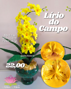 LÍRIO DO CAMPO