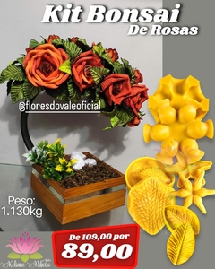 KIT BONSAI DE ROSAS