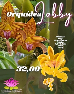 ORQUÍDEA LOBBY