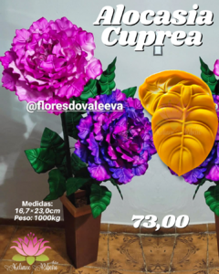 ALOCASIA CUPREA - comprar online