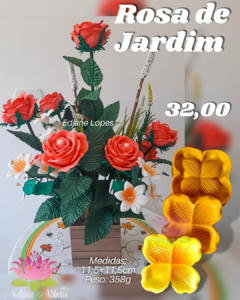 ROSA DE JARDIM na internet