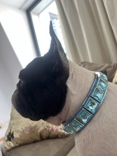 Collar cuero kala