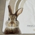 Month mat Rabbit collection - Beige - comprar online