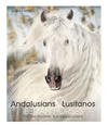 Iberian Horses: Andalusians & Lusitanos (Edición bilingüe)