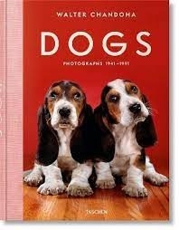 Dogs Photographs 19411991: Walter Chandoha